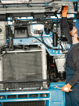 Motor Camion autopartes