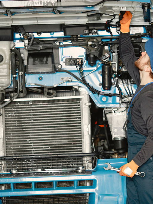Motor Camion autopartes